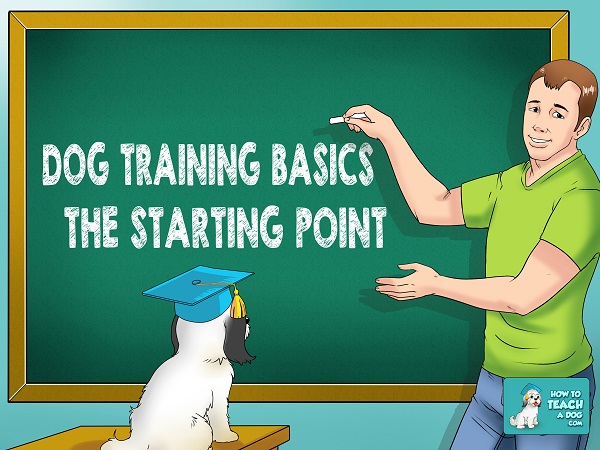 Dog Training Basics – The Starting Point