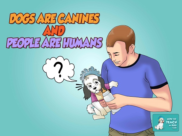 Dogs are Canines and People are Humans