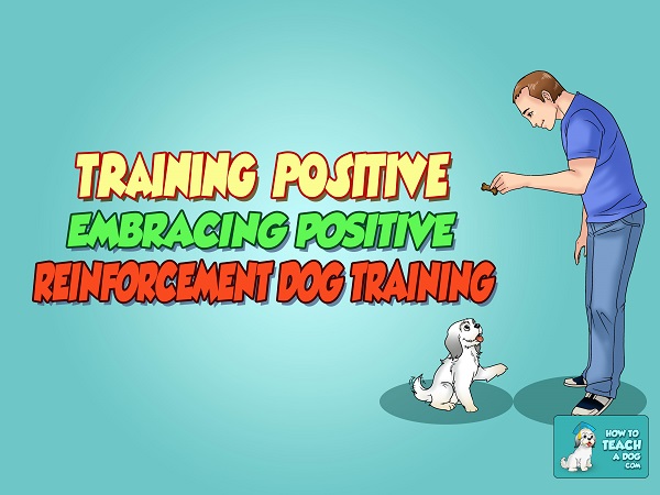 Training Positive – Embracing Positive Reinforcement Dog Training