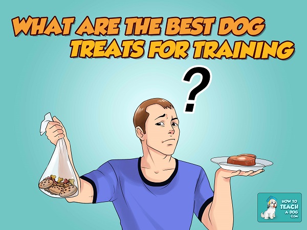 What Are The Best Dog Treats for Training