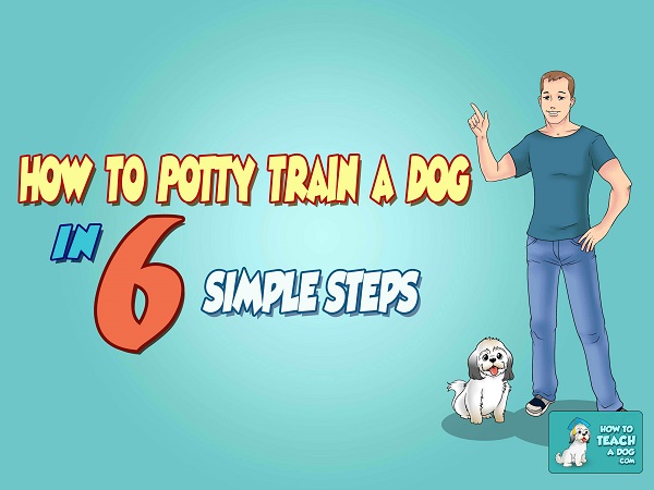 How to Potty Train a Dog in 6 Simple Steps