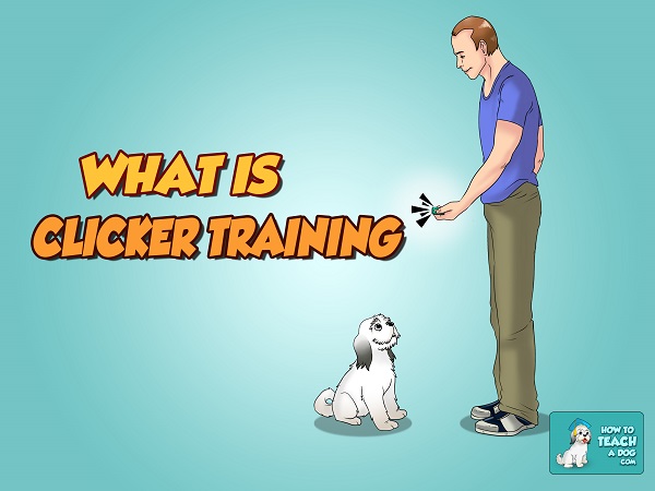 What is Clicker Training
