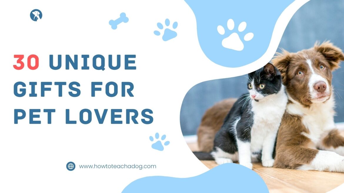 30 Unique Gifts for Pet Lovers That’ll Make Tails Wag